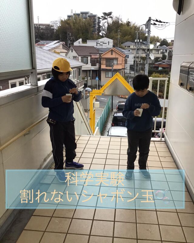 こんにちは😃
とことこ戸塚教室です⭐️

先日「科学実験」で割れないシャボン玉を作りました^ ^
洗剤に、更に「洗濯のり」と「ガムシロップ」を入れると
割れないシャボン玉が完成します✨
シャボン玉は空気で膨らんだ膜なのです
通常ならすぐに割れてしまうシャボン玉も
洗濯のりとガムシロップを入れる事で膜の強度を強め
割れにくくする作用があるのです🥸

そのおかげもあり、写真の様にシャボン玉を繋げ大きくする事も出来ます！
みなさんも試してみてください😊

☆見学者募集中☆
※写真は掲載許可を頂いたものを載せています。
☎︎ 045-881-6480
✉︎ tocotoco.tk@subaru-fukushi.or.jp

#放課後等デイサービス
#放デイ
#とことこ戸塚教室
#社会福祉法人昴
#ADHD 
#遊び 
#療育
#放デイ活動
#発達障がい 
#発達障害 
#アスペルガー症候群 
#自閉症
#LD
#戸塚区 
#学習支援 
#コミュニケーション 
#グレーゾーン
#子ども写真
#SST
#ソーシャルスキルトレーニング
#地域とつながりたい
#戸塚
#地域共生
#戸塚ママさん
#戸塚パパさん
#科学実験
#われないシャボン玉
#おおきい
#シャボン玉