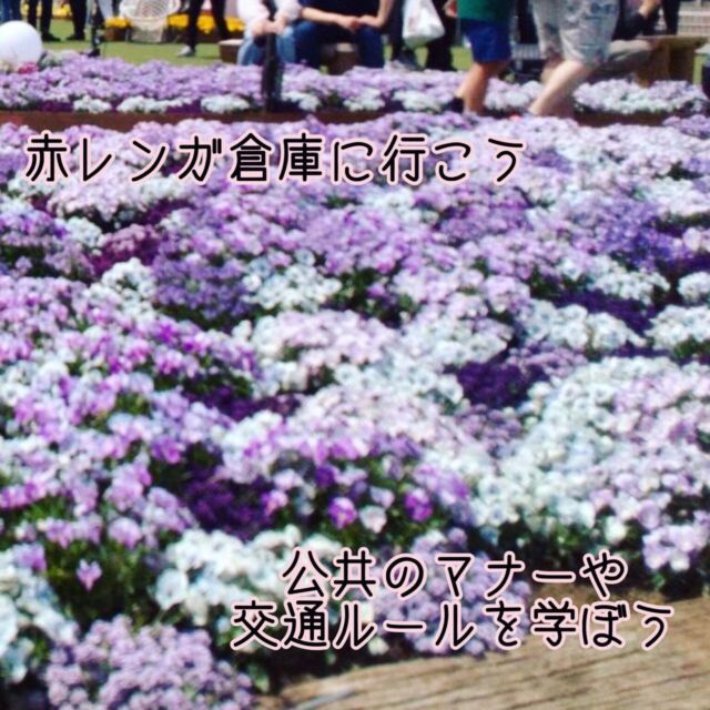 こんにちは
とことこ弘明寺教室です👣

【外出イベント】での様子です

弘明寺駅から電車に乗って、赤レンガ倉庫で開催されていた「フラワーガーデン」に、行ってきました🚃

初めての電車のお出かけに、お約束を守って向かうことができました☺️

一面の春のお花を見ながら、おやつを食べたり、お花に装飾されたドレスやイスに驚いたりとイベントを楽しみました💐✨

電車に乗ったり、歩いたりと子どもたちは頑張りました👏

※弘明寺教室では集団活動を1週間同じテーマで行なっていますが、内容を変えることで楽しく活動に参加できるように取り組んでいます。

#弘明寺
#お出かけ
#赤レンガ倉庫
#フラワーガーデン
#社会福祉法人昴
#放課後等デイサービス
#放デイ
#受給者証
#療育
#学習支援
#生活支援
#コミュニケーションスキル
#自立支援
#個別活動
#集団活動
#遊び
#友だち作り
#児童募集