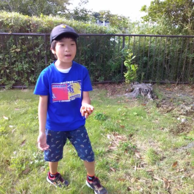 こんにちは。放課後等デイサービスとことこ本郷台教室です！本日は公園遊びの様子を紹介します⛲️徐々に気温も下がっていき、公園遊びが解禁できるようになってきました。公園では、みんな各々好きな遊びをしていて、鬼ごっこやブランコ、キャッチボールなどをして遊んでいます。先日は、工作で使うどんぐりをみんなで集めました。大きめの袋がいっぱいになるくらい集まっていて驚きでした！工作の様子はまた紹介したいと思います✨️

#社会福祉法人
#社会福祉法人昴
#放課後等デイサービス
#放デイ
#公園
#公園遊び