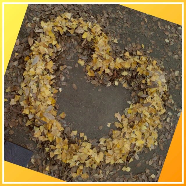 こんにちは😃
とことこ戸塚教室です⭐️

この間子ども自然公園に行ってきました♪
落ち葉でハート型を作りました😍

写真映えの裏側もご紹介です‼️

☆見学者募集中☆
※写真は掲載許可を頂いたものを載せています。
☎︎ 045-881-6480
✉︎ tocotoco.tk@subaru-fukushi.or.jp

#放課後等デイサービス
#放デイ
#とことこ戸塚教室
#社会福祉法人昴
#ADHD #遊び #療育
#放デイ活動　#外出活動
#発達障がい　#発達障害 
#アスペルガー症候群 #自閉症
#LD　#戸塚区 #学習支援 
#シミュニケーション #グレーゾーン
#子ども写真　#SST　#ソーシャルスキルトレーニング
#地域とつながりたい　#戸塚
#地域共生　#戸塚ママさん　#戸塚パパさん