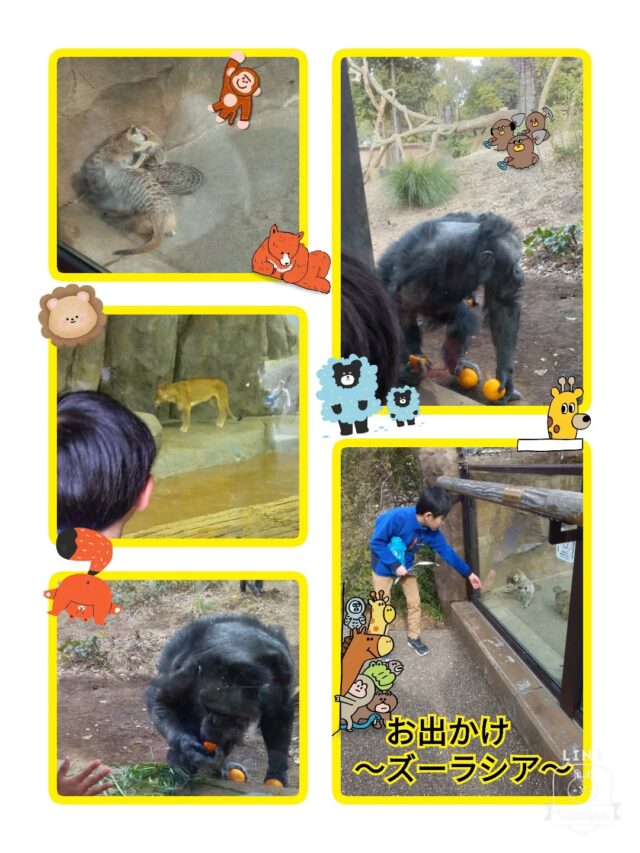 こんにちは！(*´︶`*)

放課後等デイサービスコンパス金沢文庫第一教室です🧭🌈

今回は、【お出かけ〜ズーラシア〜】の様子です✨️

ズーラシアへ行きました🐒

いつも行く正門とは違い、今回は初めて北門から入って動物たちを見ています👀✨️

チンパンジーの餌やりではみんな興味津々に見ていました😳

*･゜ﾟ･*:.｡..｡.:*･:

🍀新規利用者募集中🍀

ご見学、ご質問等、お気軽にお問い合わせください。

☎︎045-752-9494

#放デイ

#放課後等デイサービス

#療育

#お出かけ

#ズーラシア