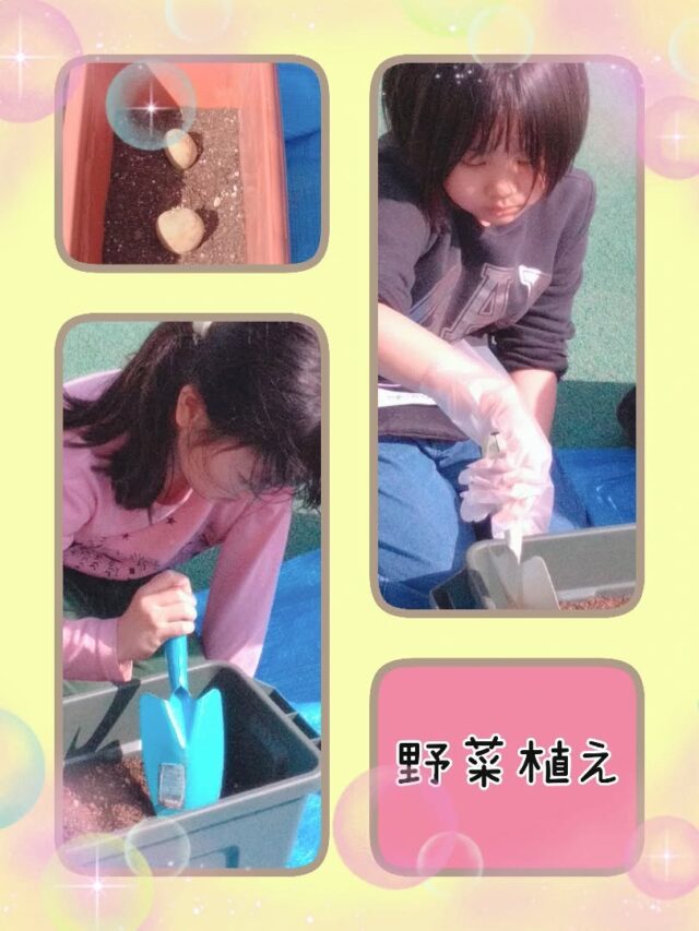 こんにちは☀放課後等デイサービスコンパス金沢文庫第2教室です✨

今回は「野菜植え」の様子についてお伝えします😆

野菜植えを行うため、西金沢地域ケアプラザの一角をお借りして小松菜🥬とじゃがいも🥔野菜植えに挑戦🤩

子ども達も職員の説明をよく聞きながら、最後まで挑戦している姿が見られました☺️

✦･･･━━━★✶･.･：･.･✶★━━━･･･✦

☆見学随時受付中です☆
☎︎045-701-6151
✉️compass2.sv@subaru-fukusi.or.jp

#放課後等デイサービス 
#放デイ#発達障がい 
#自閉症スペクトラム
#発達障がいグレーゾーン