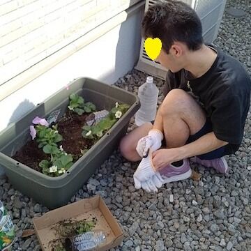 プランターでお花を植えました。

＃グループホーム＃プランター